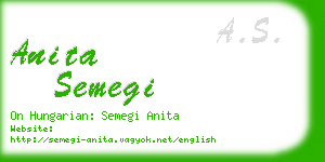 anita semegi business card
